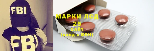 ПСИЛОЦИБИНОВЫЕ ГРИБЫ Белоозёрский