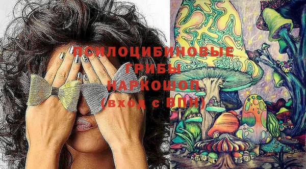 винт Белокуриха