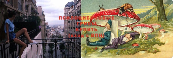 трава Беломорск