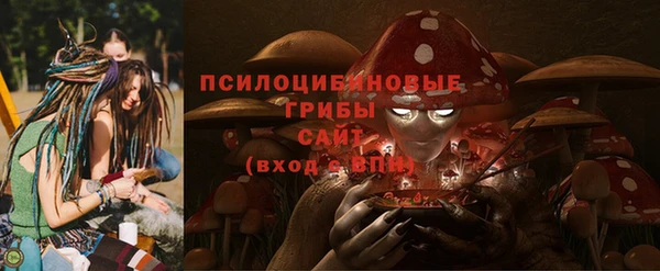 винт Белокуриха